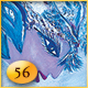Oracle Reading Number 56
